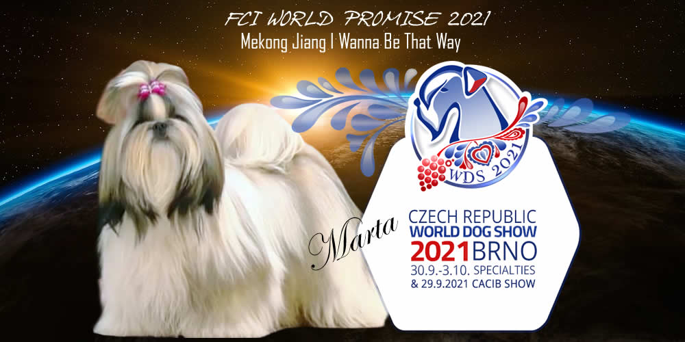 World Dog Show Brno 2021