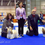 World Dog Show Geneva 2023 Mekong Jiang You Are Your Choices