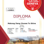 WDS 2023 Geneva Dploma Mekong Jiang Choose To Shine